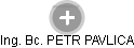 PETR PAVLICA - Vizualizace  propojení osoby a firem v obchodním rejstříku