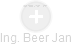 Beer Jan - Vizualizace  propojení osoby a firem v obchodním rejstříku
