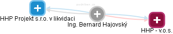  Bernard H. - Vizualizace  propojení osoby a firem v obchodním rejstříku