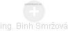  Binh S. - Vizualizace  propojení osoby a firem v obchodním rejstříku