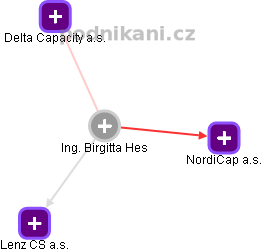 Birgitta Hes - Vizualizace  propojení osoby a firem v obchodním rejstříku