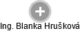 Blanka Hrušková - Vizualizace  propojení osoby a firem v obchodním rejstříku