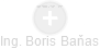 Boris Baňas - Vizualizace  propojení osoby a firem v obchodním rejstříku