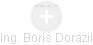 Boris Dorazil - Vizualizace  propojení osoby a firem v obchodním rejstříku