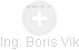  Boris V. - Vizualizace  propojení osoby a firem v obchodním rejstříku
