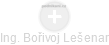  Bořivoj L. - Vizualizace  propojení osoby a firem v obchodním rejstříku