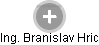  Branislav H. - Vizualizace  propojení osoby a firem v obchodním rejstříku