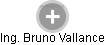  Bruno V. - Vizualizace  propojení osoby a firem v obchodním rejstříku