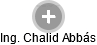 Chalid Abbás - Vizualizace  propojení osoby a firem v obchodním rejstříku
