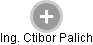 Ctibor Palich - Vizualizace  propojení osoby a firem v obchodním rejstříku