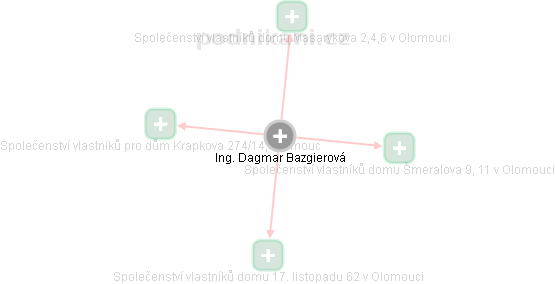 Dagmar Bazgierová - Vizualizace  propojení osoby a firem v obchodním rejstříku