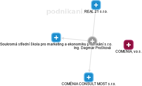 Dagmar Prošková - Vizualizace  propojení osoby a firem v obchodním rejstříku