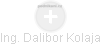 Dalibor Kolaja - Vizualizace  propojení osoby a firem v obchodním rejstříku