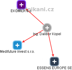 Dalibor Kopel - Vizualizace  propojení osoby a firem v obchodním rejstříku