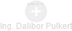  Dalibor P. - Vizualizace  propojení osoby a firem v obchodním rejstříku