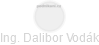 Dalibor Vodák - Vizualizace  propojení osoby a firem v obchodním rejstříku