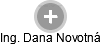  Dana N. - Vizualizace  propojení osoby a firem v obchodním rejstříku