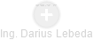 Darius Lebeda - Vizualizace  propojení osoby a firem v obchodním rejstříku