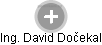  David D. - Vizualizace  propojení osoby a firem v obchodním rejstříku