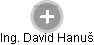 David Hanuš - Vizualizace  propojení osoby a firem v obchodním rejstříku