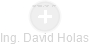 David Holas - Vizualizace  propojení osoby a firem v obchodním rejstříku