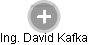 David Kafka - Vizualizace  propojení osoby a firem v obchodním rejstříku