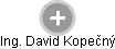 David Kopečný - Vizualizace  propojení osoby a firem v obchodním rejstříku