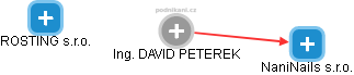 DAVID PETEREK - Vizualizace  propojení osoby a firem v obchodním rejstříku
