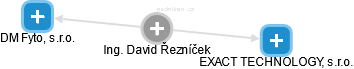 David Řezníček - Vizualizace  propojení osoby a firem v obchodním rejstříku
