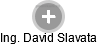 David Slavata - Vizualizace  propojení osoby a firem v obchodním rejstříku