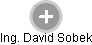 David Sobek - Vizualizace  propojení osoby a firem v obchodním rejstříku