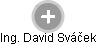 David Sváček - Vizualizace  propojení osoby a firem v obchodním rejstříku