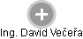 David Večeřa - Vizualizace  propojení osoby a firem v obchodním rejstříku