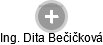 Dita Bečičková - Vizualizace  propojení osoby a firem v obchodním rejstříku