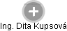 Dita Kupsová - Vizualizace  propojení osoby a firem v obchodním rejstříku