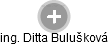 Ditta Bulušková - Vizualizace  propojení osoby a firem v obchodním rejstříku