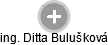 Ditta Bulušková - Vizualizace  propojení osoby a firem v obchodním rejstříku