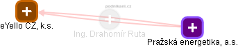  Drahomír R. - Vizualizace  propojení osoby a firem v obchodním rejstříku