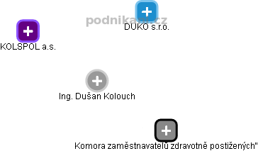  Dušan K. - Vizualizace  propojení osoby a firem v obchodním rejstříku
