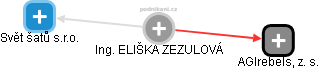 Eliška Z. - Vizualizace  propojení osoby a firem v obchodním rejstříku