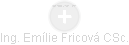 Emílie Fricová - Vizualizace  propojení osoby a firem v obchodním rejstříku