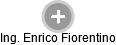  Enrico F. - Vizualizace  propojení osoby a firem v obchodním rejstříku