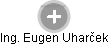  Eugen U. - Vizualizace  propojení osoby a firem v obchodním rejstříku