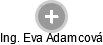  Eva A. - Vizualizace  propojení osoby a firem v obchodním rejstříku