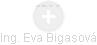 Eva Bigasová - Vizualizace  propojení osoby a firem v obchodním rejstříku