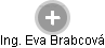 Eva Brabcová - Vizualizace  propojení osoby a firem v obchodním rejstříku