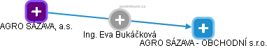 Eva Bukáčková - Vizualizace  propojení osoby a firem v obchodním rejstříku