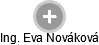  Eva N. - Vizualizace  propojení osoby a firem v obchodním rejstříku