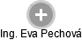 Eva Pechová - Vizualizace  propojení osoby a firem v obchodním rejstříku