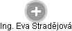 Eva Stradějová - Vizualizace  propojení osoby a firem v obchodním rejstříku
